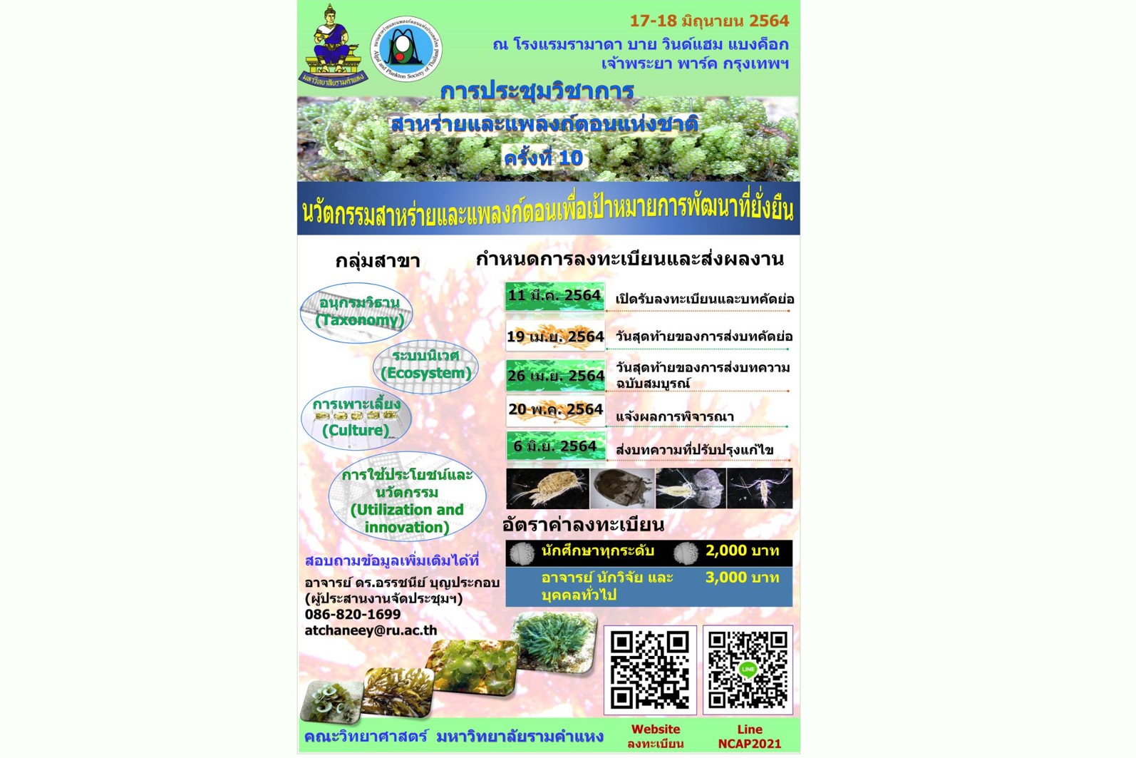 กิจกรรม